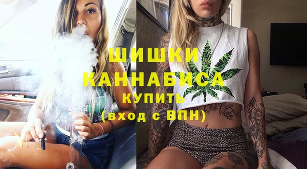 мдпв Мегион