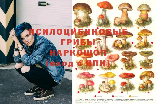 МДМА Медвежьегорск